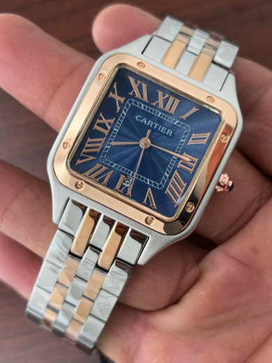 Cartier Santos-Dumont (Metal Chen) - Image 2