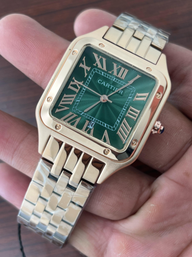 Cartier Santos-Dumont (Metal Chen) - Image 4