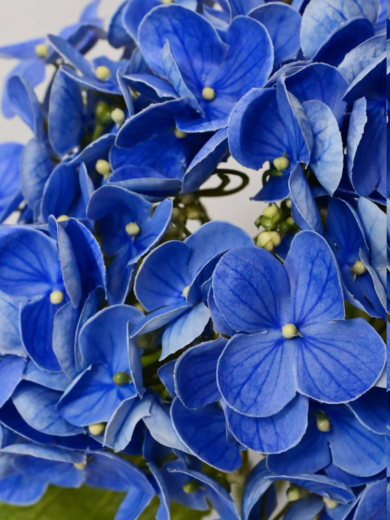 Flower Stick (Blue, Lavender) - Image 8