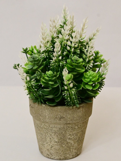 Lavender & White Artificial Succulent (Home & Office Decor) - Image 2