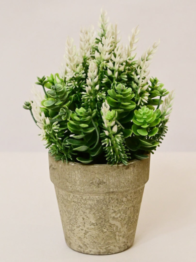 Lavender & White Artificial Succulent (Home & Office Decor) - Image 5