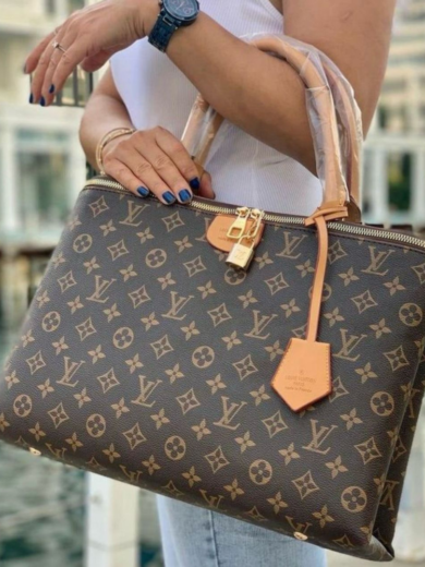Louis Vuitton Brompton bag