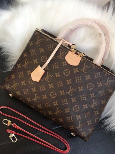 Louis Vuitton Brompton bag - Image 2